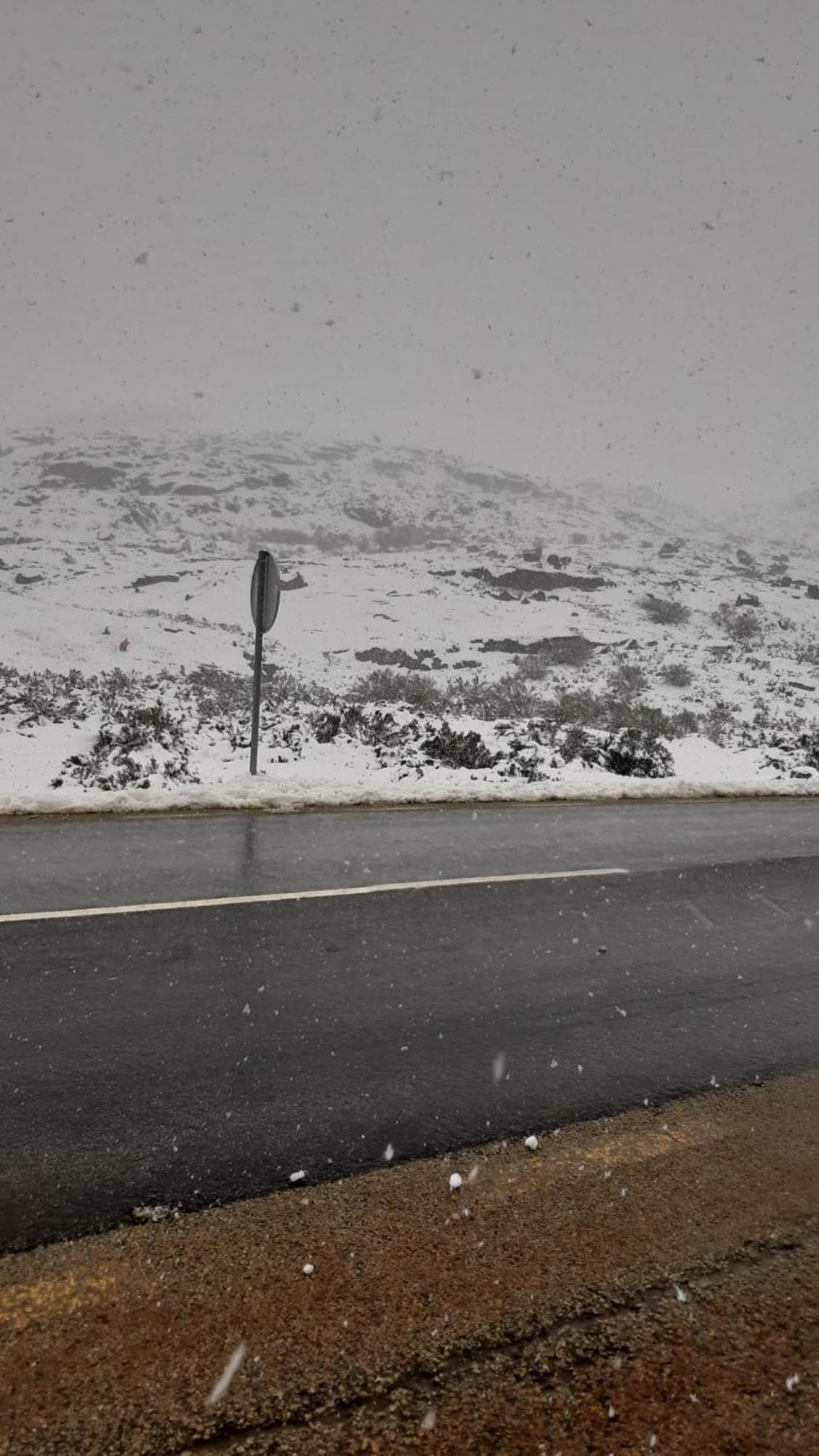 Serra Da Estrela - Casa Castro โกเวยา ภายนอก รูปภาพ